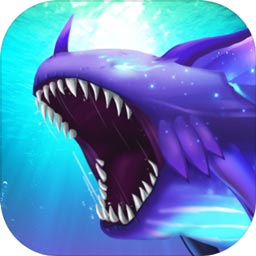 博鱼app